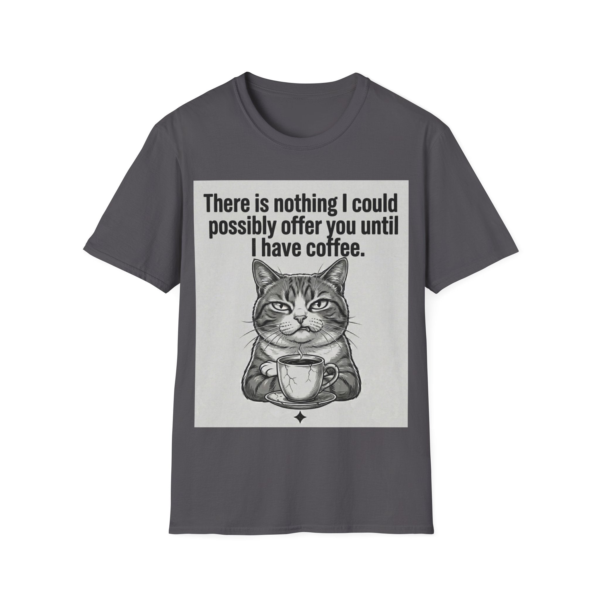 Nothing I could possibly offer you until I have coffee T-Shirt